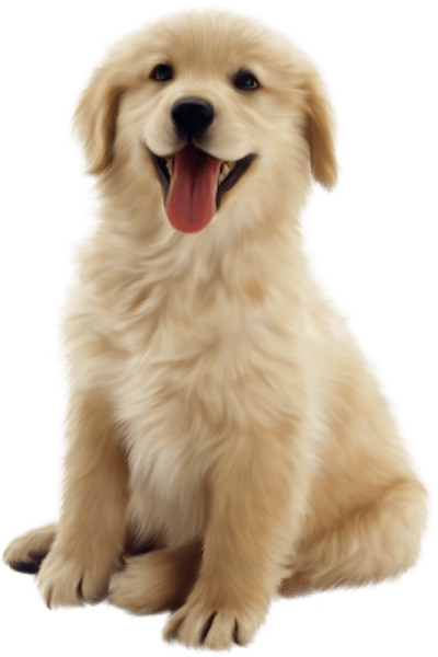 puppy-9